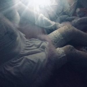 腹肌体育生gary2023款报价
