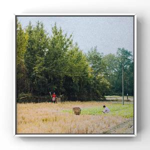 腹肌体育生gary2023款报价
